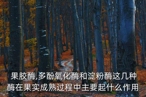 果膠酶作用,果實成熟過程中多酶氧化酶和淀粉酶的主要作用