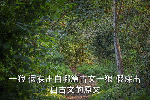 前狼假寐,投票結束前夕狼來了?原來是假睡覺