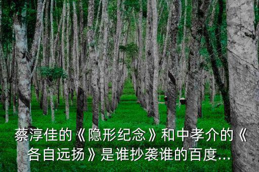 蔡淳佳,蔡淳佳新專輯注明是來自中孝介翻唱歌曲