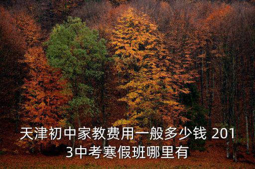 天津初中家教費用一般多少錢 2013中考寒假班哪里有