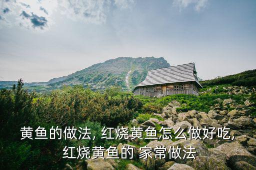 黃魚的做法, 紅燒黃魚怎么做好吃, 紅燒黃魚的 家常做法