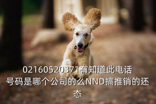 02160520371有知道此電話號碼是哪個公司的么NND搞推銷的還態