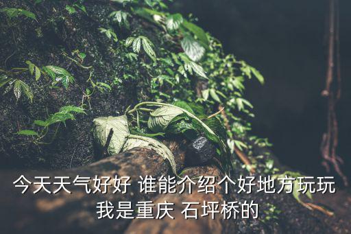 重慶市九龍坡區石坪橋天氣，重慶最近幾天天氣