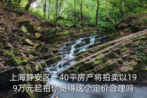 上海靜安區一40平房產將拍賣以199萬元起拍你覺得這個定價合理嗎