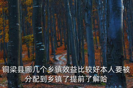 重慶市銅梁區石鼓鄉，重慶銅粱原來的東郭區是現在的什么地方