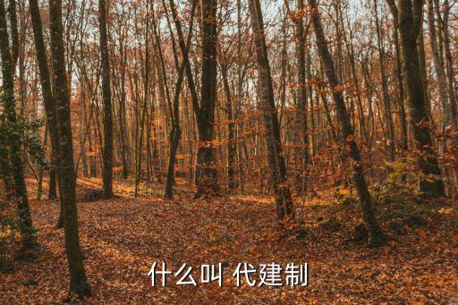 什么叫 代建制