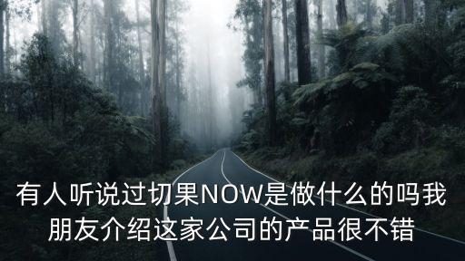 有人聽說過切果NOW是做什么的嗎我朋友介紹這家公司的產(chǎn)品很不錯