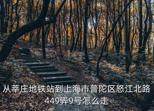 從莘莊地鐵站到上海市普陀區怒江北路449弄9號怎么走