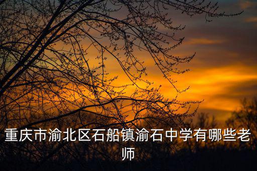 重慶市蔡萬霖，重慶市渝煌建筑工程有限公司機械化分公司法人代表