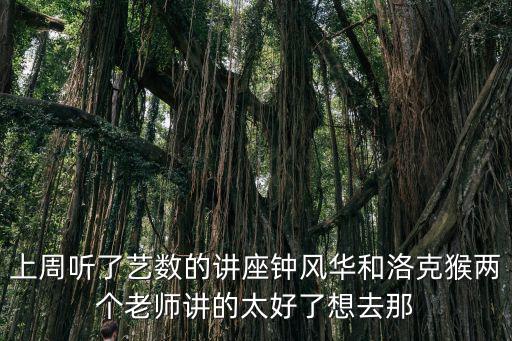 上周聽了藝數的講座鐘風華和洛克猴兩個老師講的太好了想去那