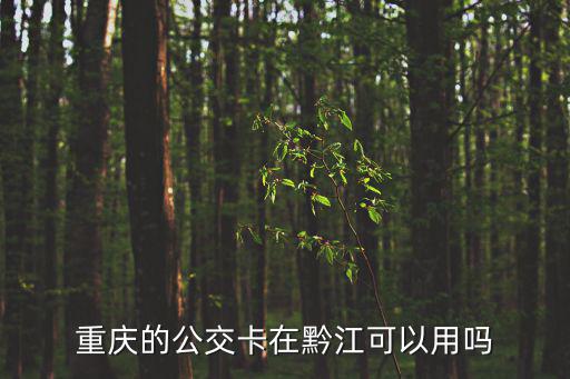 重慶的公交卡在黔江可以用嗎