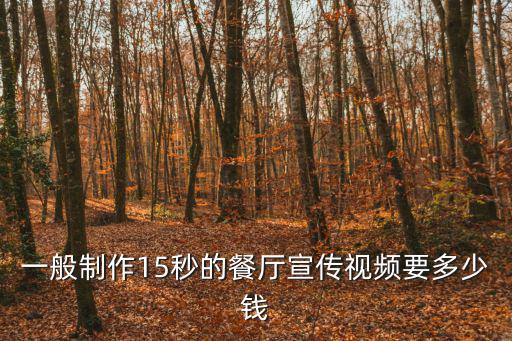 一般制作15秒的餐廳宣傳視頻要多少錢