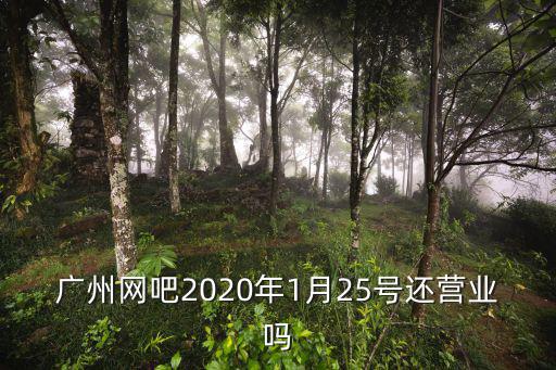 廣州網咖開門營業了嗎，廣州網吧2020年1月25號還營業嗎