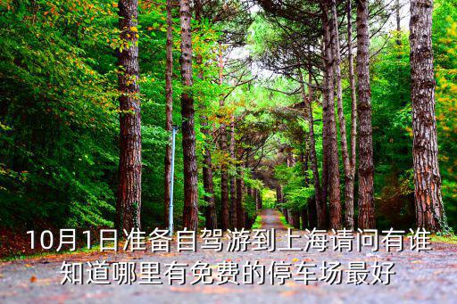 10月1日準(zhǔn)備自駕游到上海請(qǐng)問(wèn)有誰(shuí)知道哪里有免費(fèi)的停車(chē)場(chǎng)最好