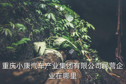 重慶小康汽車產(chǎn)業(yè)集團(tuán)有限公司民營企業(yè)在哪里