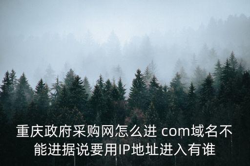 重慶政府采購網怎么進 com域名不能進據說要用IP地址進入有誰