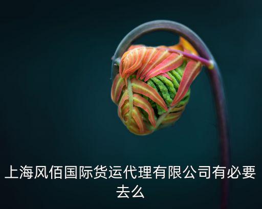 上海風佰國際貨運代理有限公司有必要去么