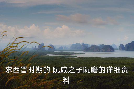 阮咸,北阮晾衣服南阮富南窮