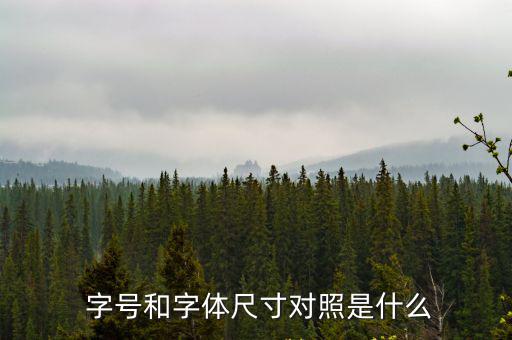 字號大小,字號用作計量單位時變小