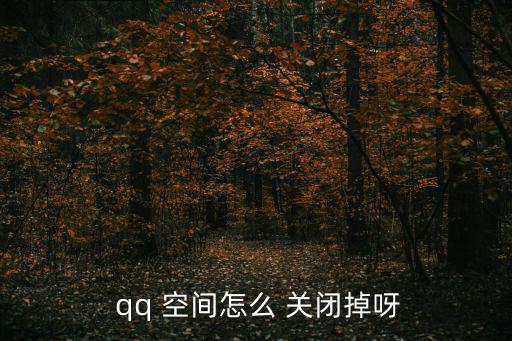 qq空間怎么關閉,關閉你的qq空間有何不同?