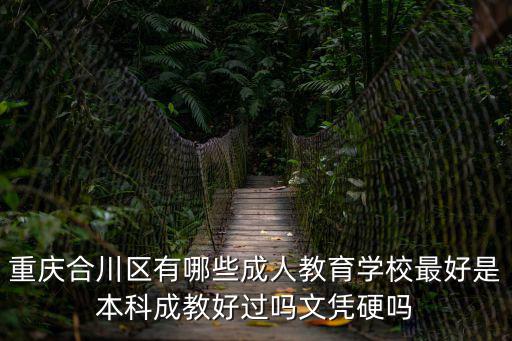 重慶合川區有哪些成人教育學校最好是本科成教好過嗎文憑硬嗎