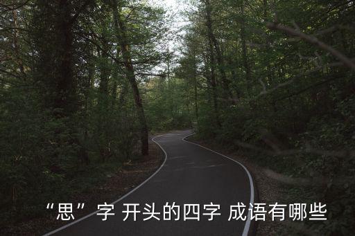 “思”字 開頭的四字 成語有哪些