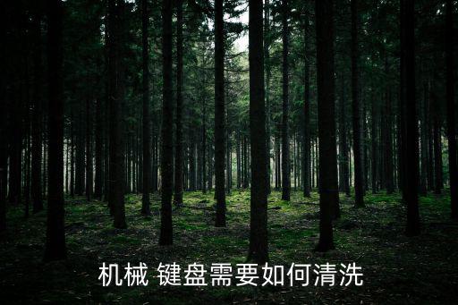 機械鍵盤怎么清理,用拔鍵器拔下所有鍵帽清理灰塵和洗潔精