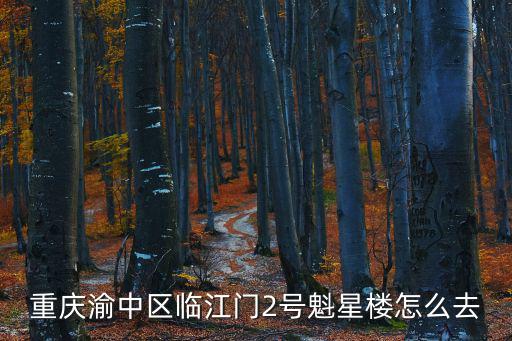 重慶渝中區臨江門2號魁星樓怎么去