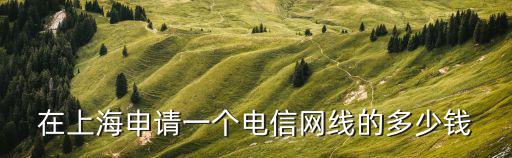 上海市電信護纜，上海牽電信網線一年多少錢