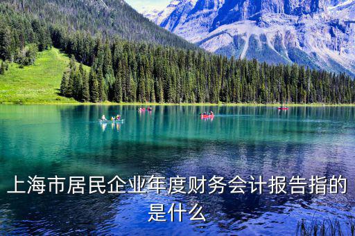 上海市居民企業年度財務會計報告指的是什么