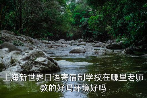 上海新世界日語寄宿制學校在哪里老師教的好嗎環境好嗎