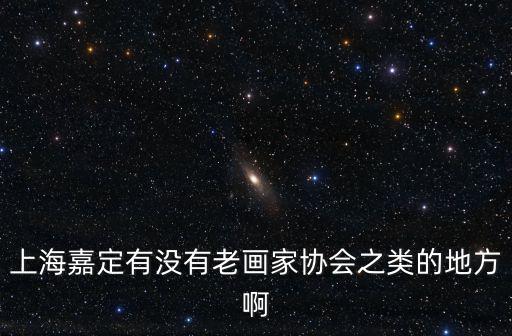 上海嘉定有沒有老畫家協會之類的地方啊