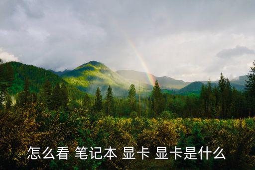 筆記本顯卡怎么看,驅動顯示器如何進行安全操作
