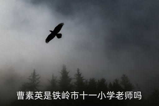 上海市僑光中學張亞芳校長，季延中學校長曾清泉是哪里人