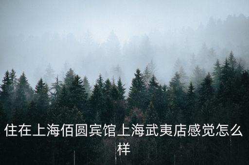 上海市伯園賓館江浦店，從上海市楊浦區國和路到江浦路728號侑什么車子能到哪站下  搜