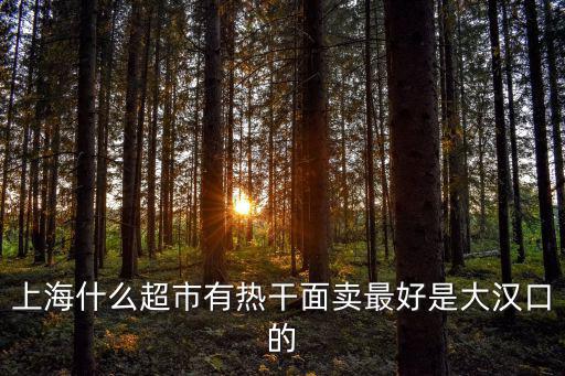 上海什么超市有熱干面賣最好是大漢口的