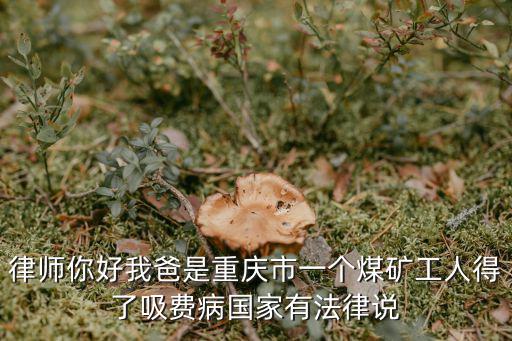 律師你好我爸是重慶市一個煤礦工人得了吸費病國家有法律說