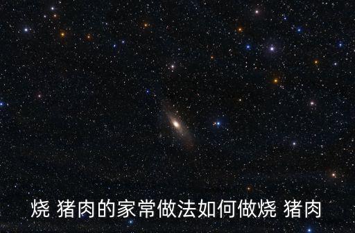 燒 豬肉的家常做法如何做燒 豬肉
