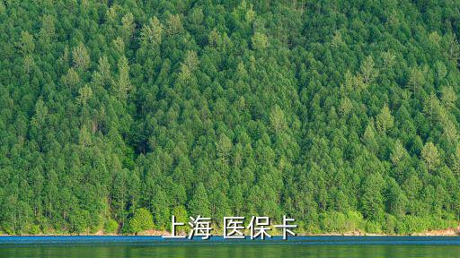 上海市老版社會保障卡圖片，上海社會卡