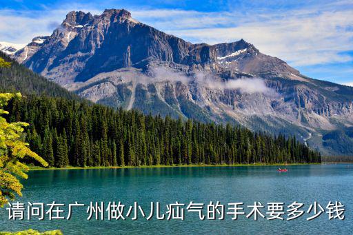 請問在廣州做小兒疝氣的手術(shù)要多少錢