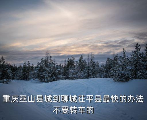 重慶巫山縣城到聊城茌平縣最快的辦法不要轉車的