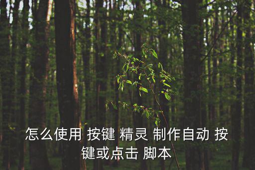 按鍵精靈腳本制作教程,打開3按鍵精靈軟件點擊進入腳本界面