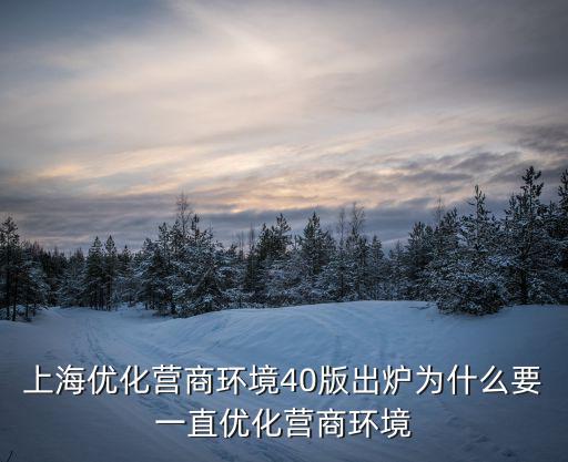 上海優(yōu)化營(yíng)商環(huán)境40版出爐為什么要一直優(yōu)化營(yíng)商環(huán)境