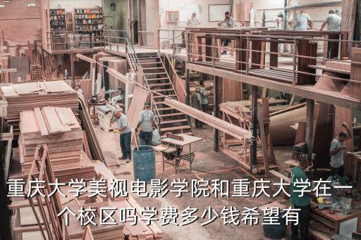 重慶大學美視電影學院和重慶大學在一個校區嗎學費多少錢希望有