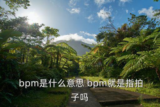 bpm,每分鐘節(jié)拍是什么意思?