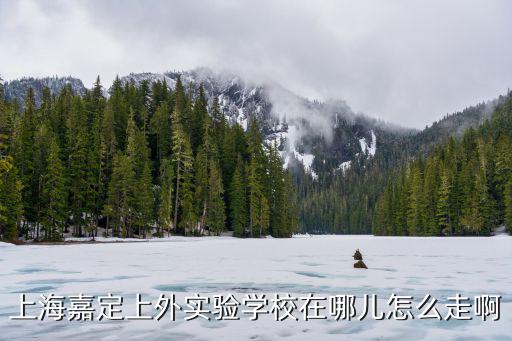 上海嘉定上外實驗學校在哪兒怎么走啊
