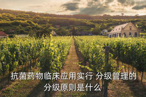  抗菌藥物臨床應用實行 分級管理的分級原則是什么