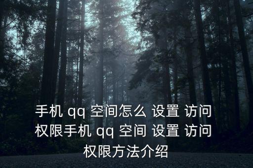 手機 qq 空間怎么 設置 訪問 權限手機 qq 空間 設置 訪問 權限方法介紹
