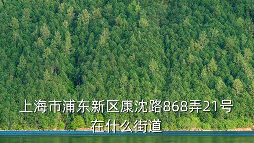 上海市沈西村屬于哪個(gè)鎮(zhèn)，上海市浦東新區(qū)塘下公路808號(hào)是那個(gè)鎮(zhèn) 郵政編碼是多少