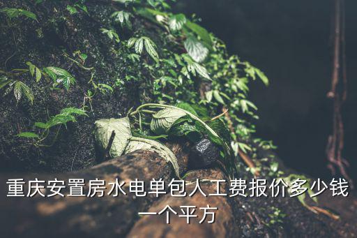 重慶安置房水電單包人工費報價多少錢一個平方